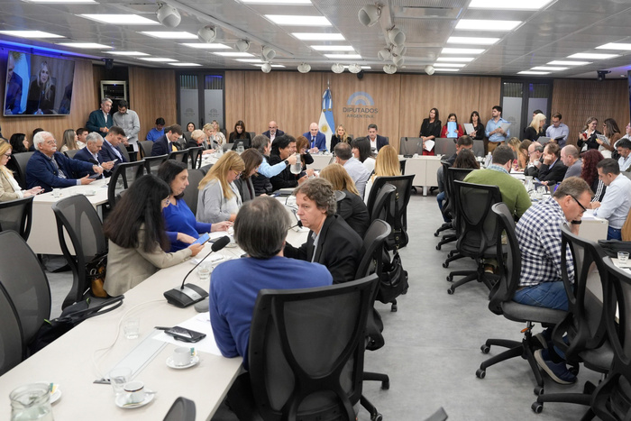 La oposición avanza con la discusión jubilatoria en el Congreso 