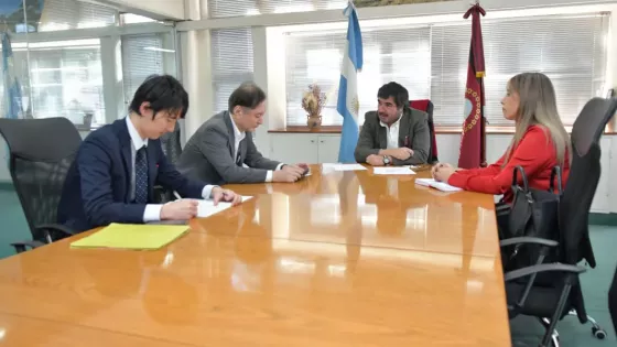 Japón explora oportunidades de inversión minera en Salta