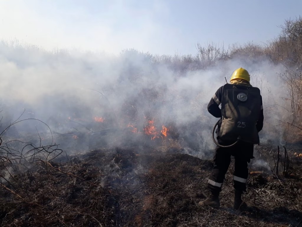 La Municipalidad intervino ayer en diversos incidentes ocasionados por el viento