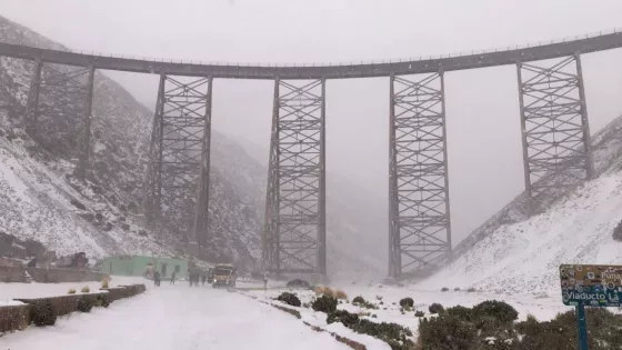Una postal inolvidable: el Tren a las Nubes atravesó una tormenta de nieve histórica en su salida N°65