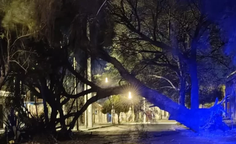 Asistencia de Seguridad por el viento zonda