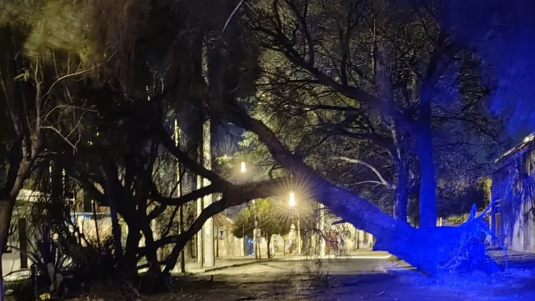 Asistencia de Seguridad por el viento zonda