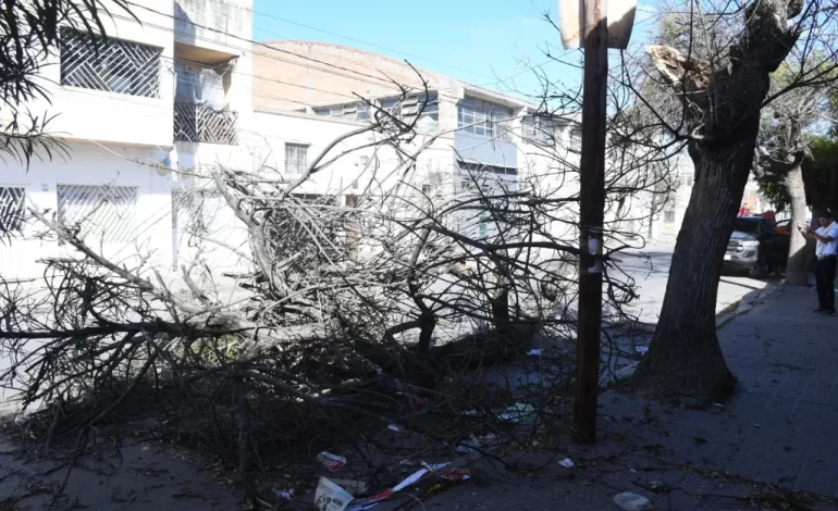 La Municipalidad interviene en por lo menos 23 incidentes causados por el viento