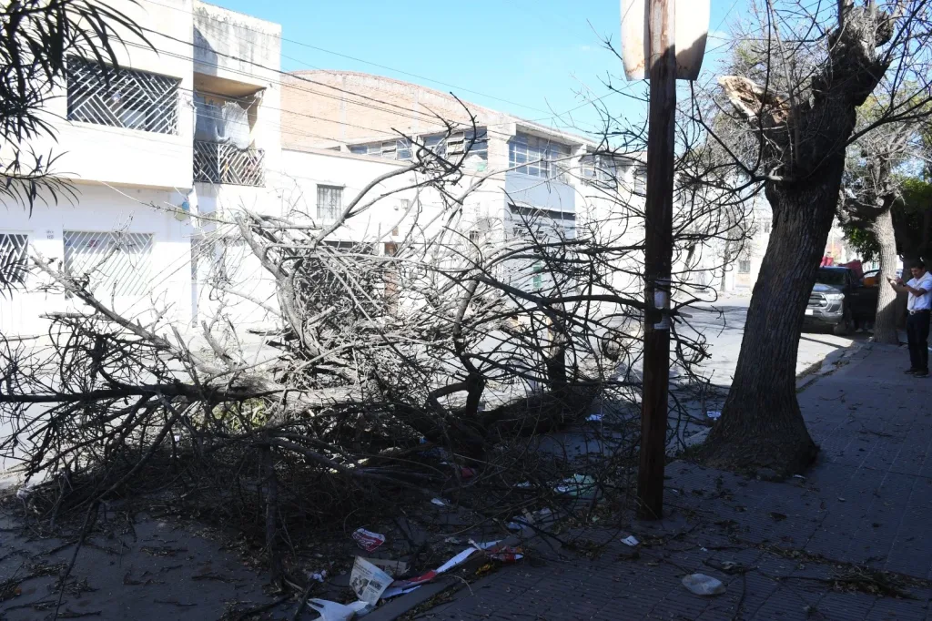 La Municipalidad interviene en por lo menos 23 incidentes causados por el viento