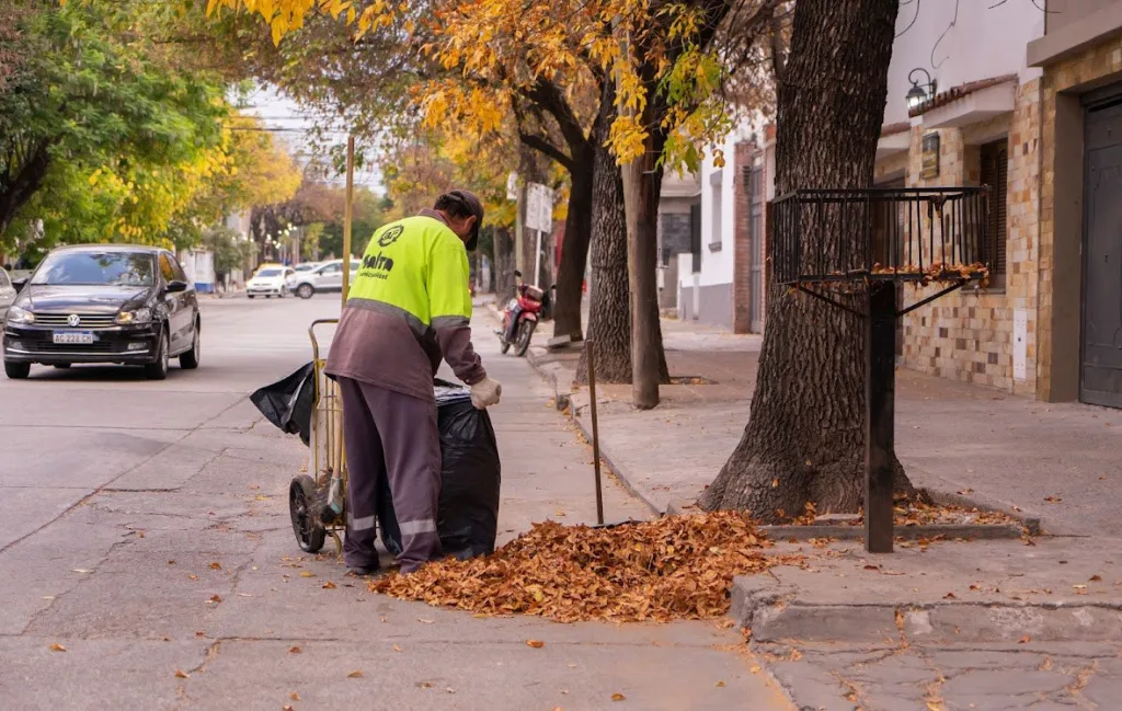 Conocé cómo funcionarán los servicios municipales durante el viernes 15