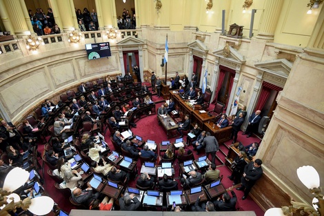 El Senado rechazará mañana el veto a la ley de discapacidad