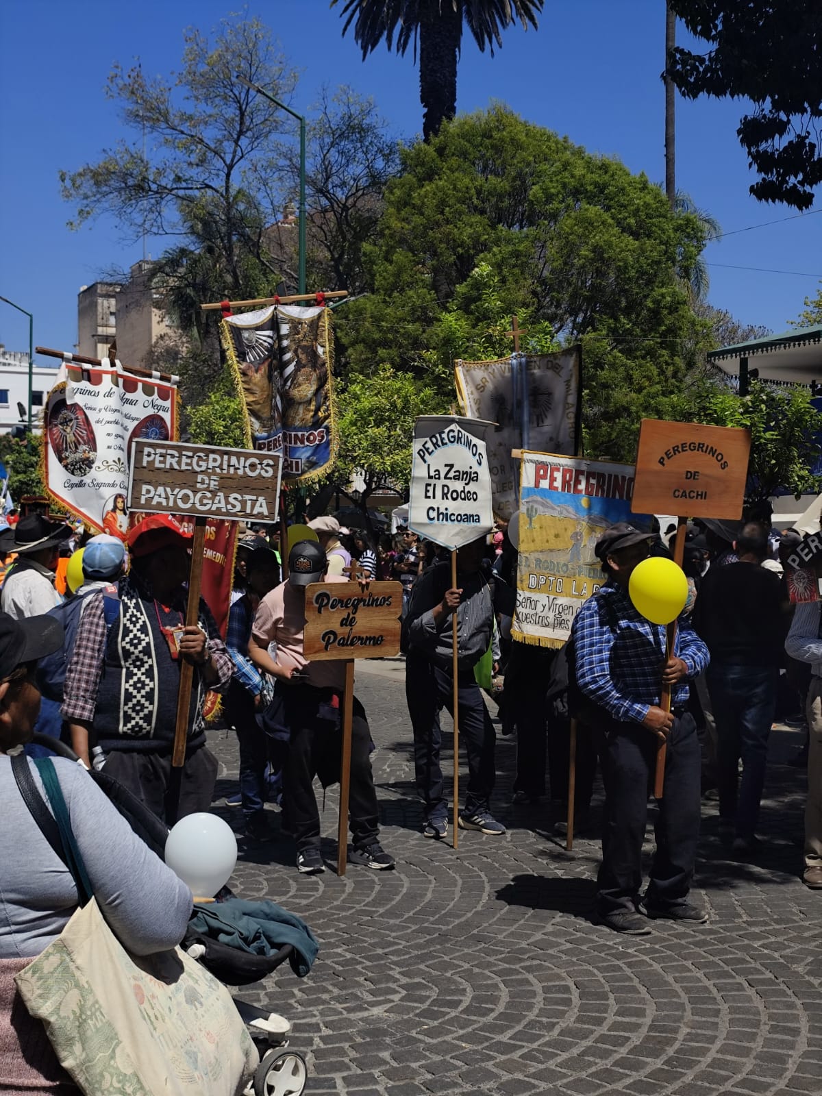 Miles de peregrinos llegan a la Catedral