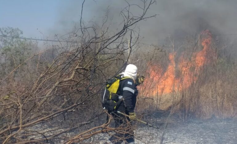 Rige un alerta por incendios forestales en la ciudad para el fin de semana
