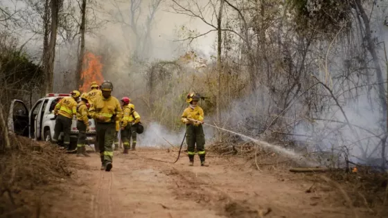 Amplio operativo de Defensa Civil para el sofocamiento de incendios de pastizales en el norte provincial