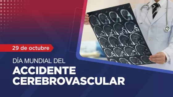 Día Mundial del ACV: La red de asistencia provincial brinda contención y tratamiento oportuno a los pacientes