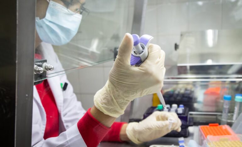La gripe H3N2 subclado K llegó a la Argentina
