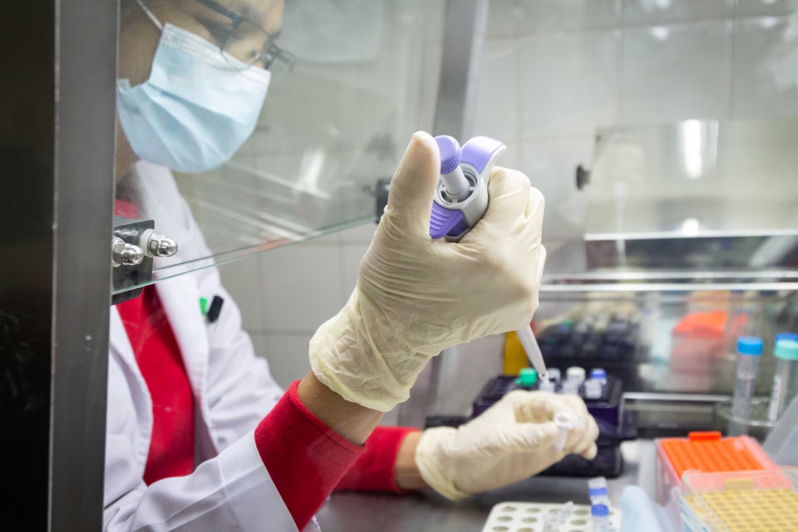La gripe H3N2 subclado K llegó a la Argentina