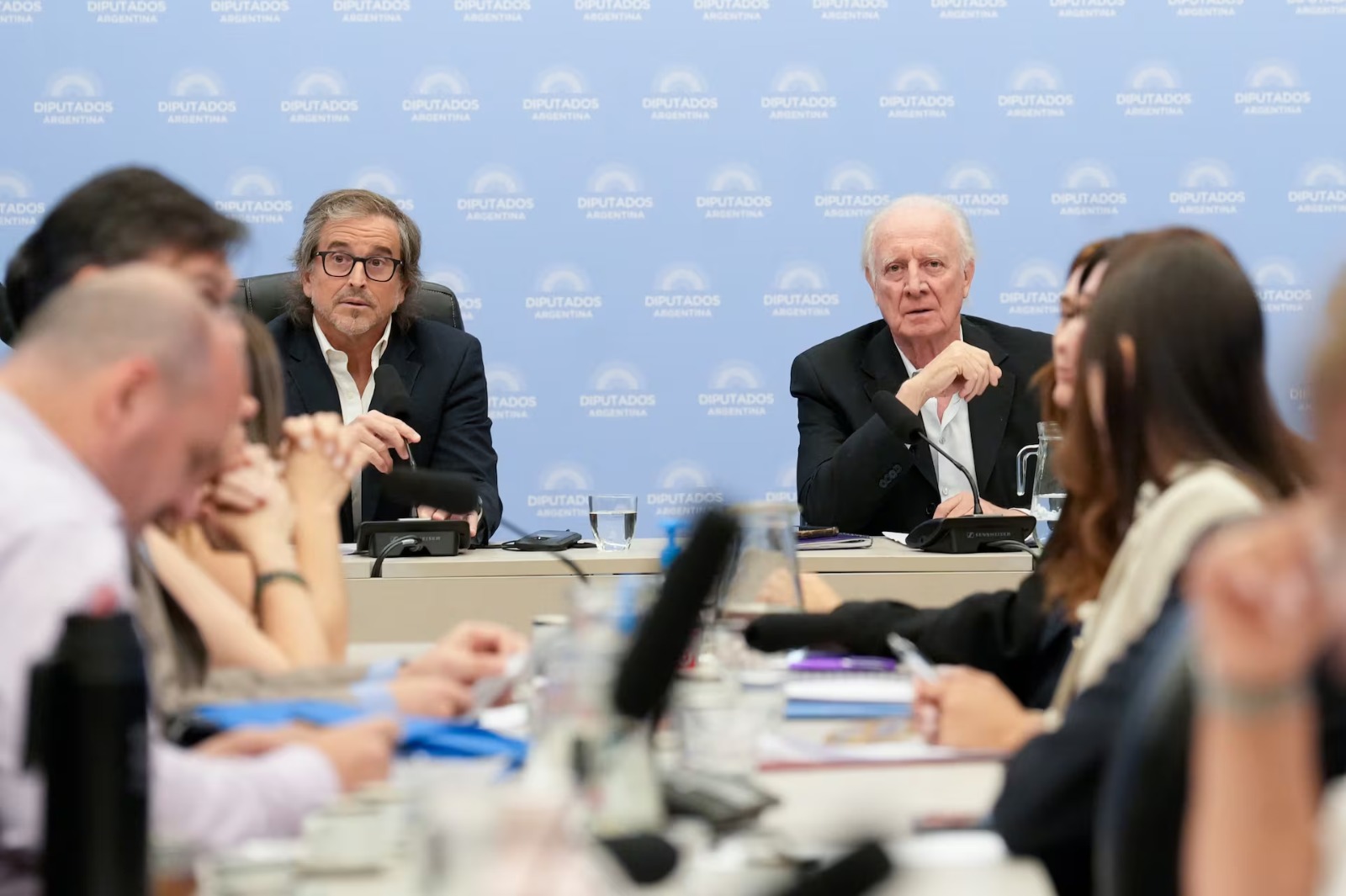 El Gobierno quiere derogar las leyes de discapacidad y financiamiento universitario