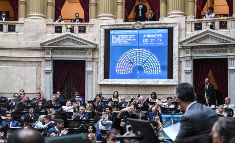 Media sanción para un Presupuesto que multiplica y profundiza el ajuste