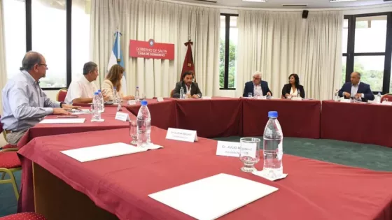 Gustavo Sáenz con legisladores nacionales: defensa de los recursos de Salta ante la reforma laboral y fondos para obras federales