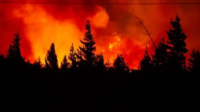 Incendios en Chubut: peritos hallaron restos de combustible y refuerzan la hipótesis de intencionalidad
