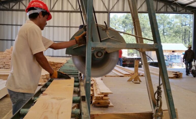 El plan económico y sus víctimas regionales