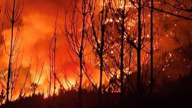 Incendios en Chubut: confirmaron que son intencionales a través de una estremecedora imagen mientras sigue la lucha contra el fuego