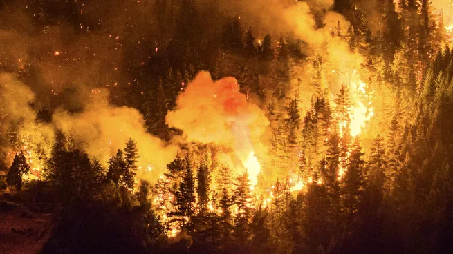 Incendios forestales: el Gobierno firmó el DNU que declara la Emergencia Ígnea en la Patagonia