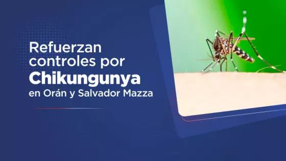 Salud refuerza la vigilancia epidemiológica en la frontera norte ante brote de Chikungunya en Bolivia