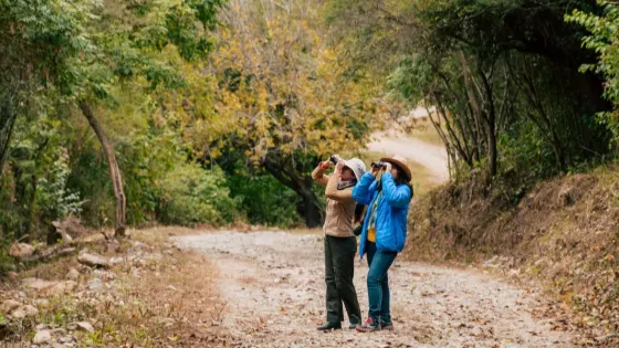 Una agenda integral de actividades invita a recorrer Salta durante el próximo fin de semana largo