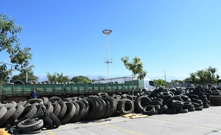 El Neumatón cerca de alcanzar las 1.900 toneladas de cubiertas fuera de uso