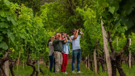 La riqueza natural de Salta posiciona a la provincia entre las principales referentes del país