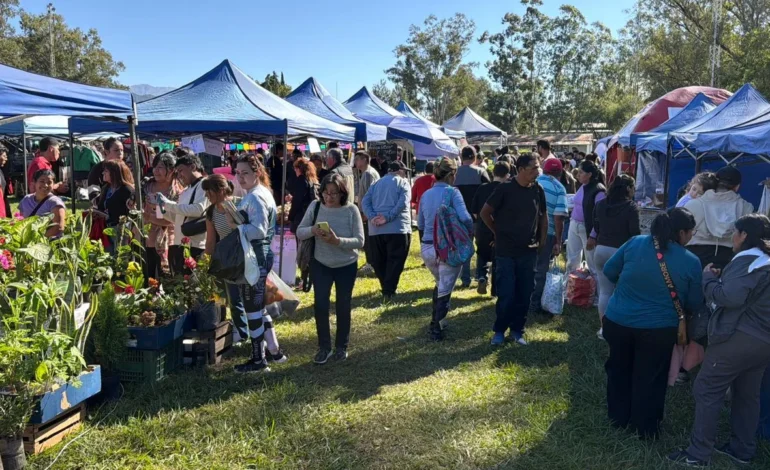 Vecinos destacaron los precios y la variedad en “El mercado en tu barrio”
