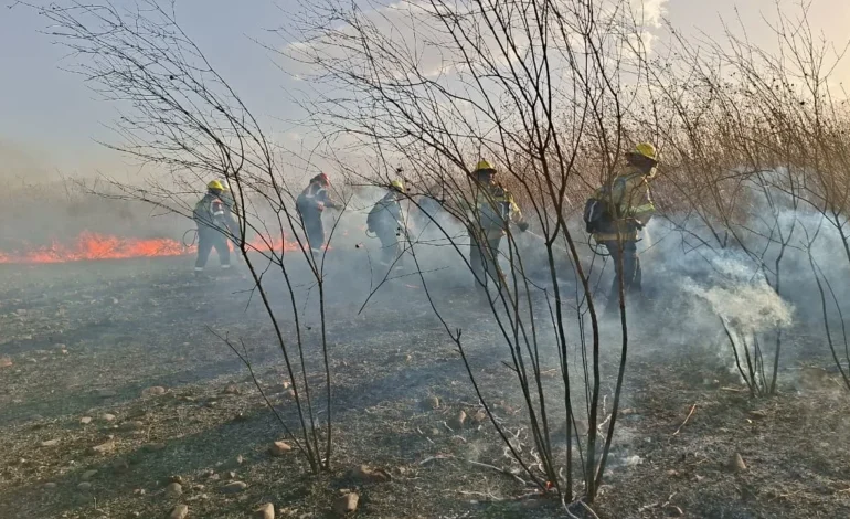 Personal de Protección Ciudadana intervino para sofocar un incendio en zona sur