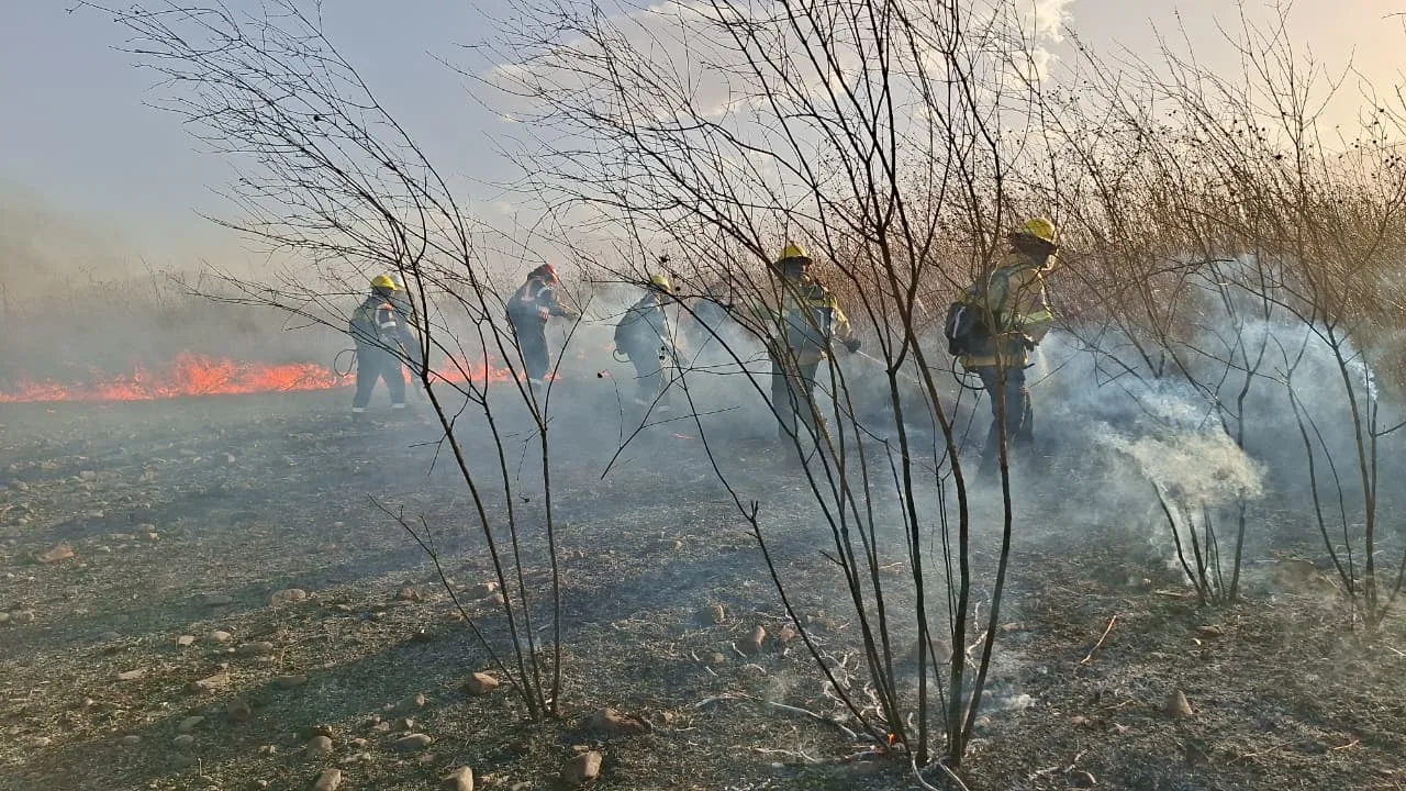 Personal de Protección Ciudadana intervino para sofocar un incendio en zona sur