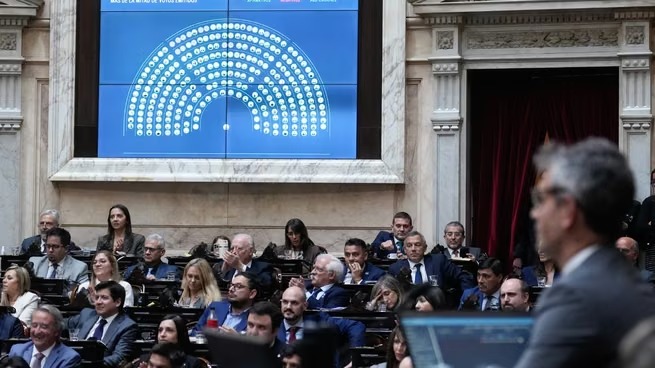 Holgada aprobación a un proyecto para fondos en discapacidad en Diputados